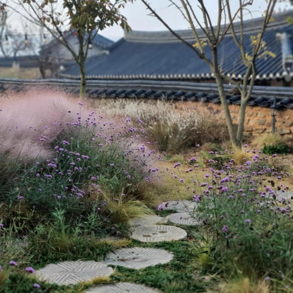 Naju Gotaeg Flowers Are Blooming On The Mountain Hotel Room photo