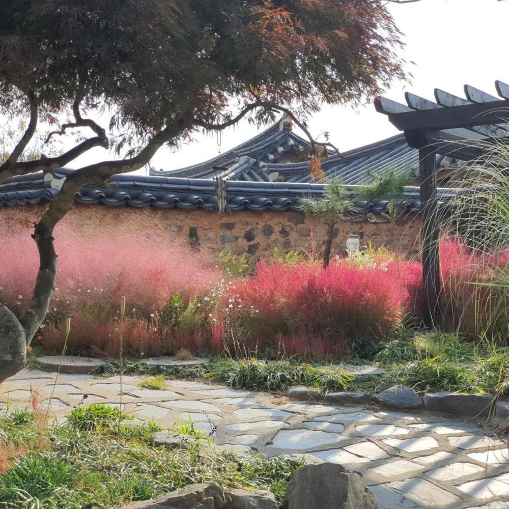 Naju Gotaeg Flowers Are Blooming On The Mountain Hotel Room photo